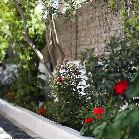 Vila Feliz - Premium Rooms With Free Private Parking Vlorë Buitenkant foto
